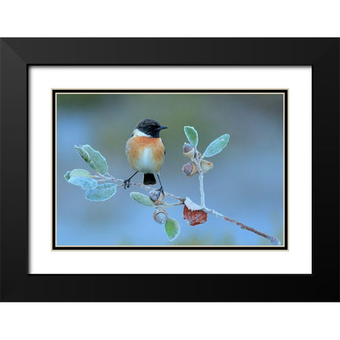 Hard Winter Black Modern Wood Framed Art Print with Double Matting by Miguel Dominguez, Andres