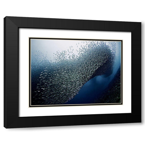 Sardines Tornado Black Modern Wood Framed Art Print with Double Matting by Jager, Henry