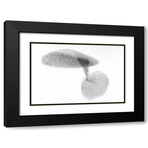 Starlings Dance Black Modern Wood Framed Art Print with Double Matting by Gil Raga, Joan