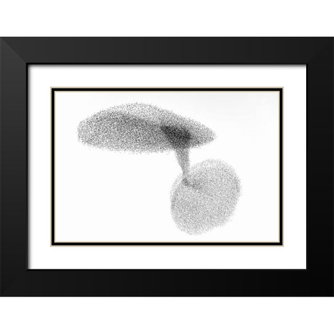 Starlings Dance Black Modern Wood Framed Art Print with Double Matting by Gil Raga, Joan