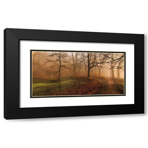 Which Path Ii Black Modern Wood Framed Art Print with Double Matting by Londal, Leif