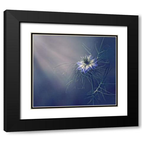 ....* Black Modern Wood Framed Art Print with Double Matting by Lazarov, Dimitar