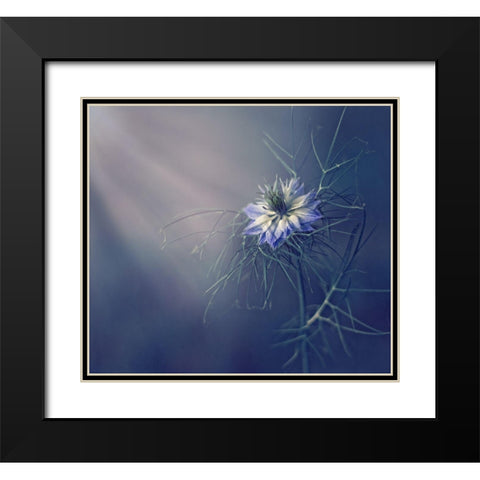 ....* Black Modern Wood Framed Art Print with Double Matting by Lazarov, Dimitar