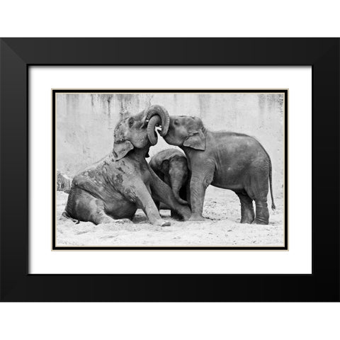 Ma?Nage A? Trois Black Modern Wood Framed Art Print with Double Matting by Wenner-Braun, Antje