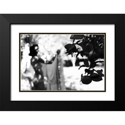 Apples Ii Black Modern Wood Framed Art Print with Double Matting by Kreigere, Inese
