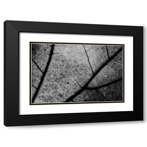 Streets Black Modern Wood Framed Art Print with Double Matting by Chiarello, Matteo