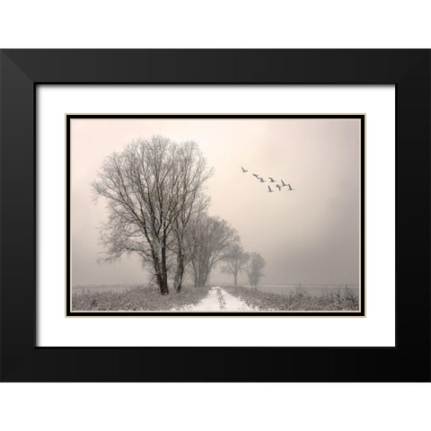 Winterlight Black Modern Wood Framed Art Print with Double Matting by Urlings, Lou