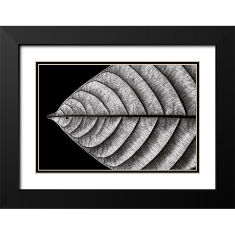 Dry Fish Black Modern Wood Framed Art Print with Double Matting by J. Bhange, Nilesh