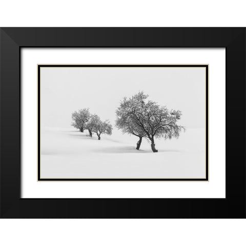 White Carpet Ii Black Modern Wood Framed Art Print with Double Matting by Carrillo Lopez, Antonio