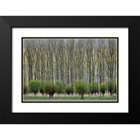 Layers Black Modern Wood Framed Art Print with Double Matting by Van Maastricht, Henk