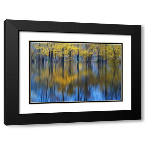 Yellow Reflection Black Modern Wood Framed Art Print with Double Matting by Komovec, Ales