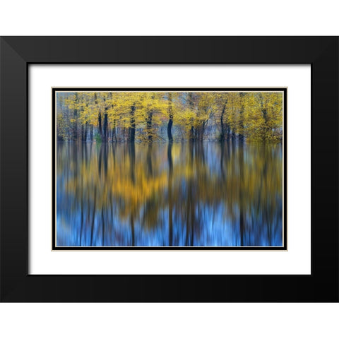 Yellow Reflection Black Modern Wood Framed Art Print with Double Matting by Komovec, Ales