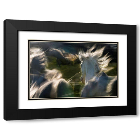 Saeta Equina Black Modern Wood Framed Art Print with Double Matting by Malovrh, Milan