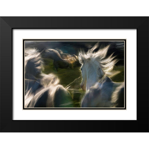 Saeta Equina Black Modern Wood Framed Art Print with Double Matting by Malovrh, Milan