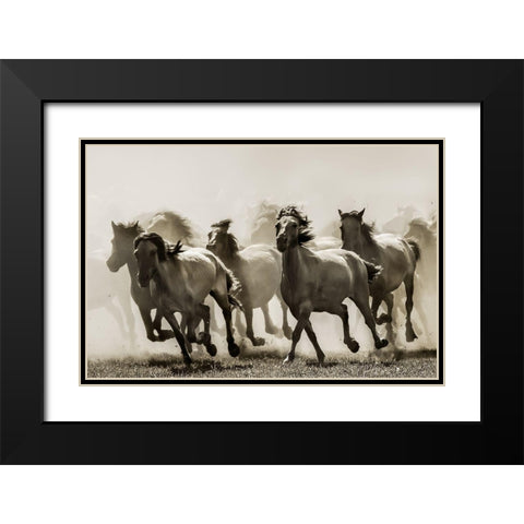Horse Black Modern Wood Framed Art Print with Double Matting by Bartsch, Heidi