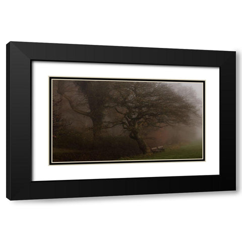 If The Tree Could Talk Black Modern Wood Framed Art Print with Double Matting by Londal, Leif