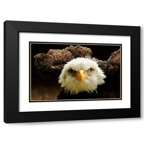 The Judge Black Modern Wood Framed Art Print with Double Matting by Kirwan, Tim