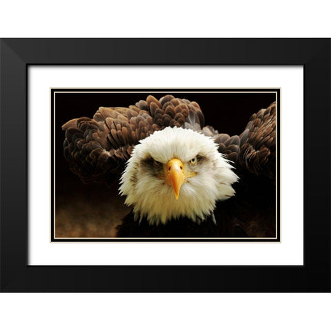 The Judge Black Modern Wood Framed Art Print with Double Matting by Kirwan, Tim