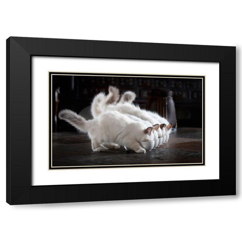 Let There Be Milk Black Modern Wood Framed Art Print with Double Matting by Lehto, Timo