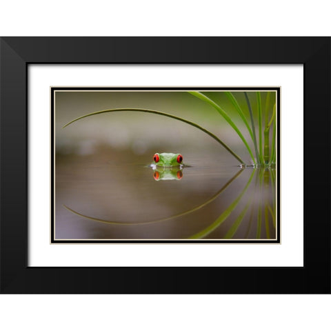 Beauty Of Reflection Black Modern Wood Framed Art Print with Double Matting by Uddin, Kutub