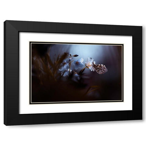 In Your Dreams-Everything Is Alright Black Modern Wood Framed Art Print with Double Matting by Bravin, Fabien
