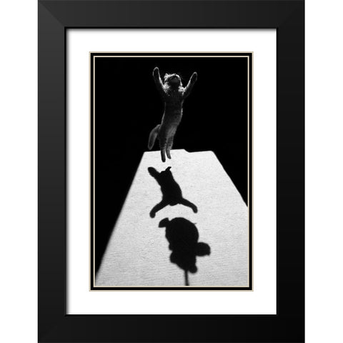 Edgar The Great Black Modern Wood Framed Art Print with Double Matting by Kravanja, Jure