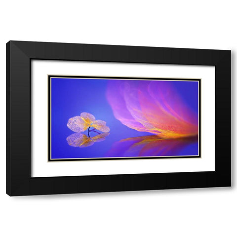 Dream Black Modern Wood Framed Art Print with Double Matting by Pan, Sophie