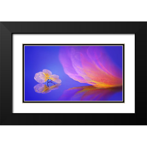 Dream Black Modern Wood Framed Art Print with Double Matting by Pan, Sophie