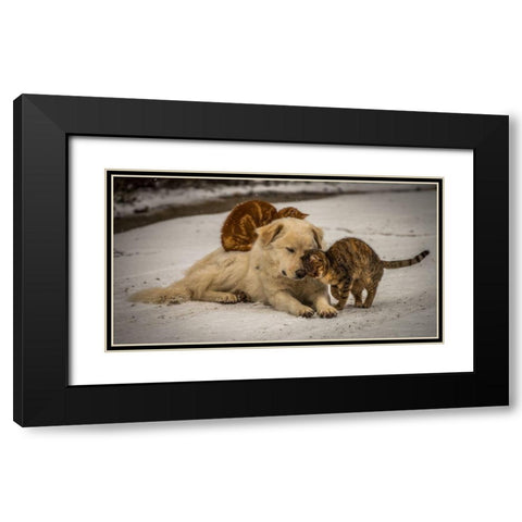 Sweet Effusions Black Modern Wood Framed Art Print with Double Matting by Lucidi, Riccardo