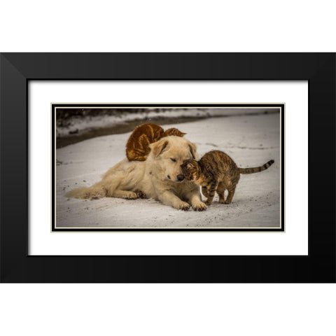 Sweet Effusions Black Modern Wood Framed Art Print with Double Matting by Lucidi, Riccardo