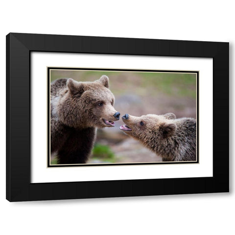 Close Contact Black Modern Wood Framed Art Print with Double Matting by Eriksson, Robin