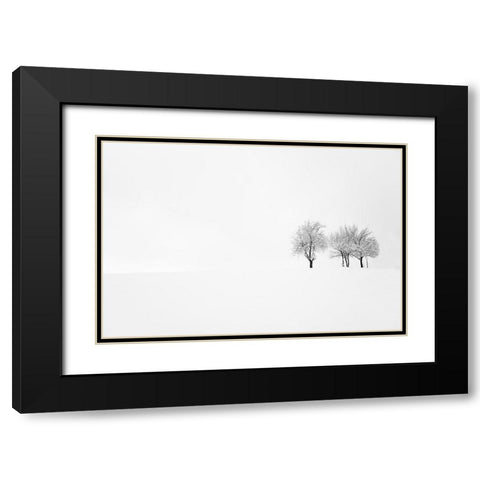Tree And Silence Black Modern Wood Framed Art Print with Double Matting by Bajrich, Amir
