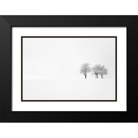 Tree And Silence Black Modern Wood Framed Art Print with Double Matting by Bajrich, Amir