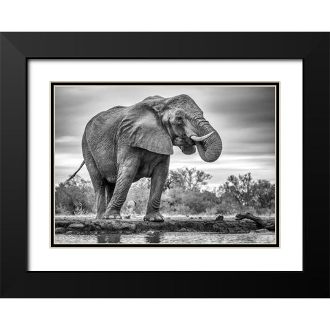 Standing Proud Black Modern Wood Framed Art Print with Double Matting by Marx, Jaco