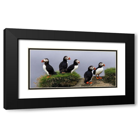 I Dont Care Black Modern Wood Framed Art Print with Double Matting by Mattheyses, Eric