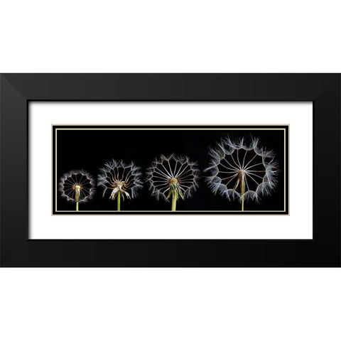Family Portrait Black Modern Wood Framed Art Print with Double Matting by Lionse, Art