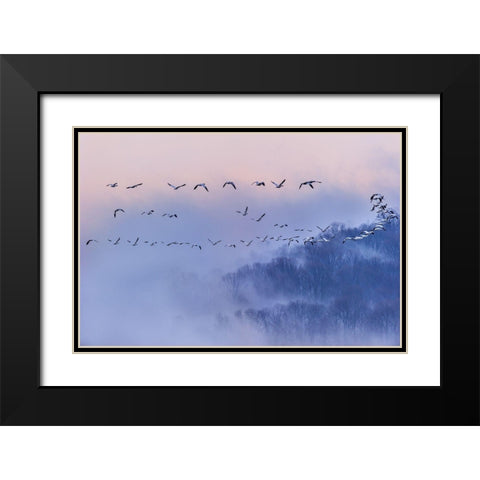 Poems And Dreams (Em?A??Ei?Ae?Andsup1;) Black Modern Wood Framed Art Print with Double Matting by Li, Austin