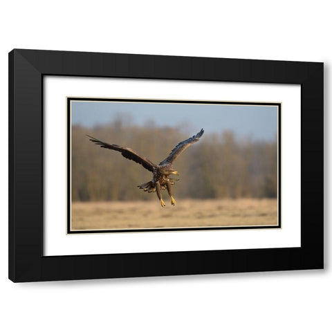 3D Black Modern Wood Framed Art Print with Double Matting by Rayco