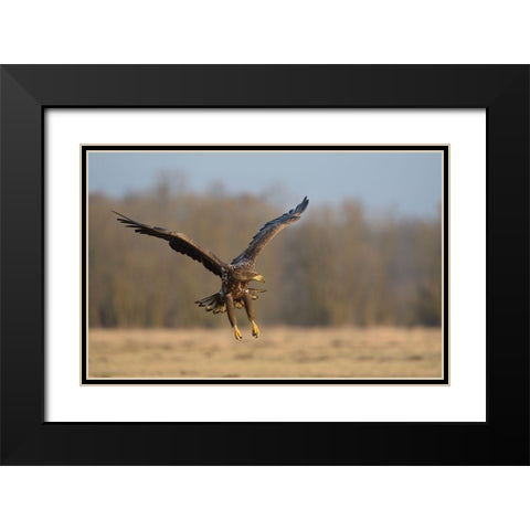 3D Black Modern Wood Framed Art Print with Double Matting by Rayco