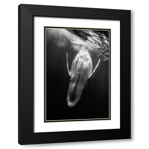 Black A Whale Black Modern Wood Framed Art Print with Double Matting by Gabriel, Barathieu