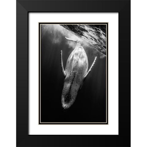 Black A Whale Black Modern Wood Framed Art Print with Double Matting by Gabriel, Barathieu