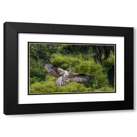 The Girl Has A Fish ! Black Modern Wood Framed Art Print with Double Matting by Forns, Alfred