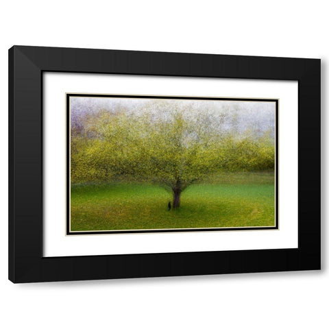 The Cat By The Tree Black Modern Wood Framed Art Print with Double Matting by Ostlund, Arne