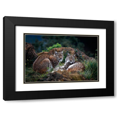 Moonschein Lovers Black Modern Wood Framed Art Print with Double Matting by Barbieri, Gianfranco