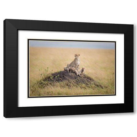Regal Protector Black Modern Wood Framed Art Print with Double Matting by Taylor, Ted