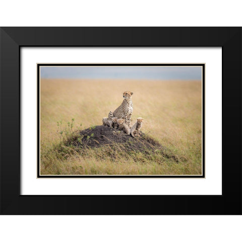 Regal Protector Black Modern Wood Framed Art Print with Double Matting by Taylor, Ted