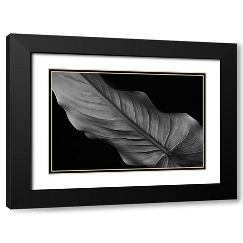 Female Black Modern Wood Framed Art Print with Double Matting by Pascual Buye, Santiago