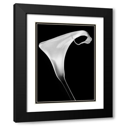 Calla Black Modern Wood Framed Art Print with Double Matting by Pascual Buye, Santiago