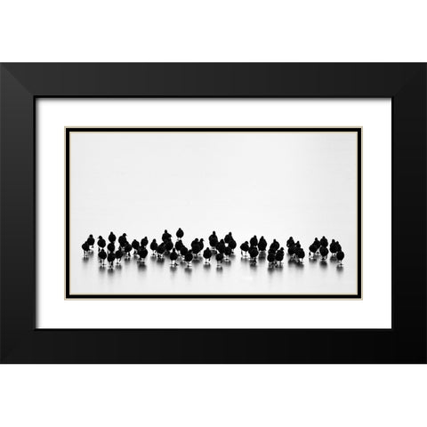 Eurasian Coots Black Modern Wood Framed Art Print with Double Matting by Vasilev, Yordan