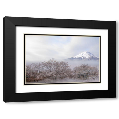 Mt.Fuji In Spring Black Modern Wood Framed Art Print with Double Matting by Iga, Ikuo